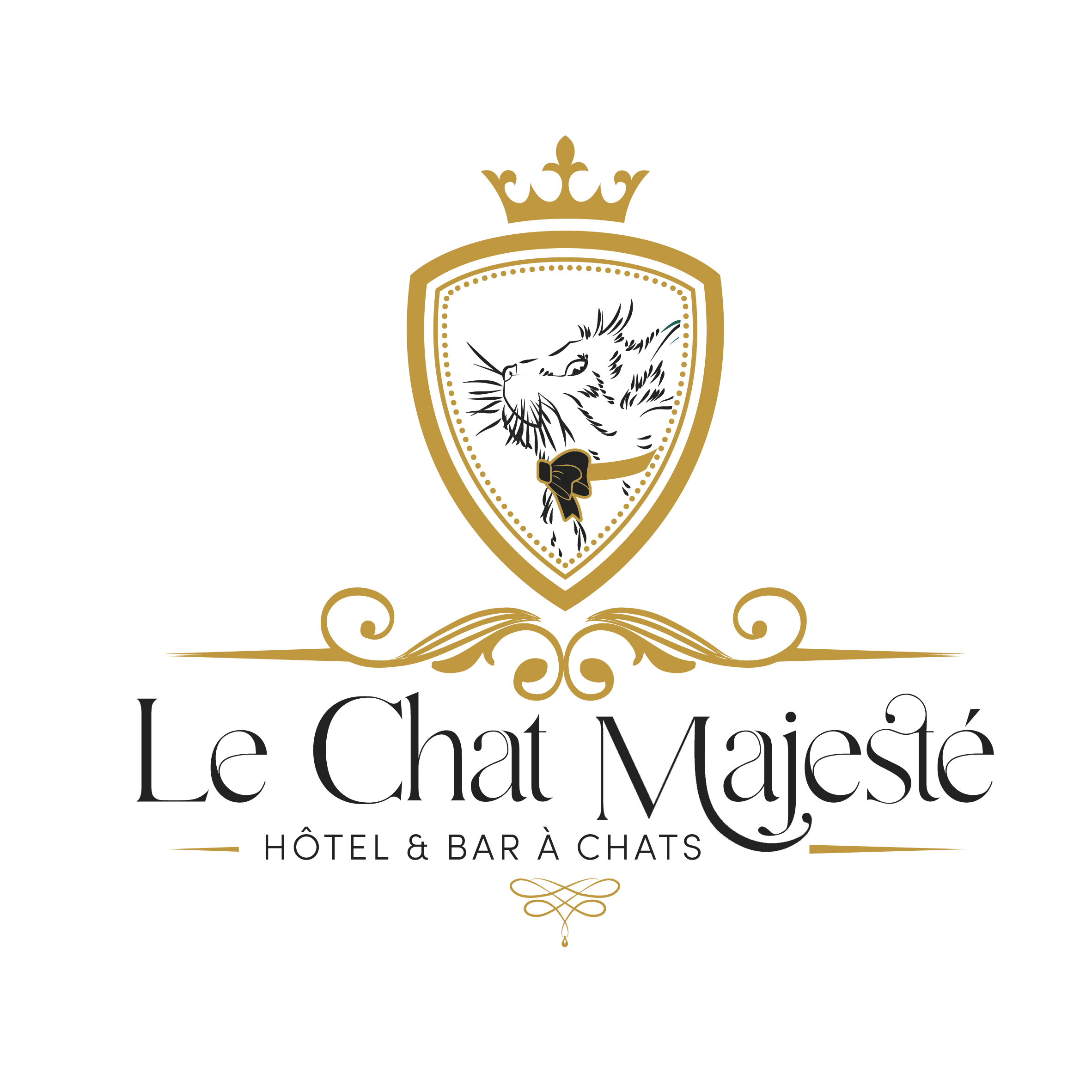image profil
