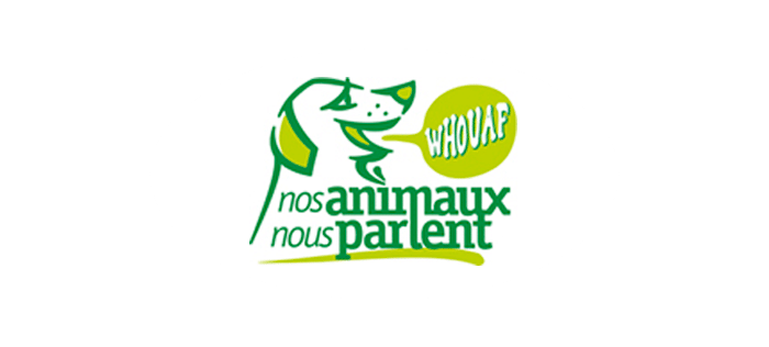 image profil